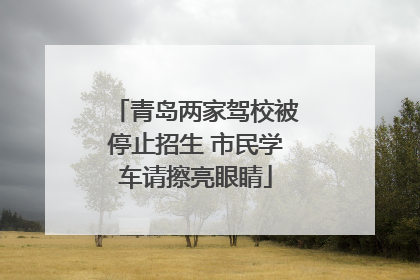 青岛两家驾校被停止招生 市民学车请擦亮眼睛