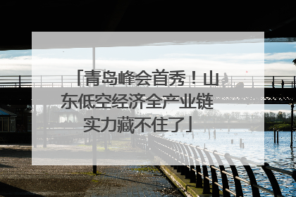 青岛峰会首秀！山东低空经济全产业链实力藏不住了