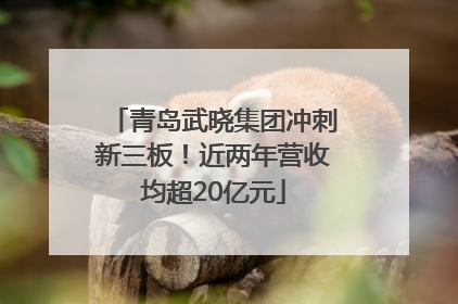 青岛武晓集团冲刺新三板！近两年营收均超20亿元
