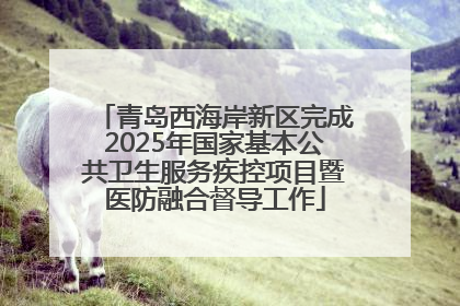 青岛西海岸新区完成2025年国家基本公共卫生服务疾控项目暨医防融合督导工作