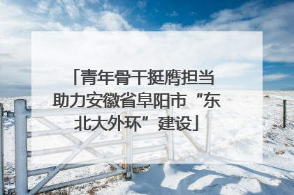 青年骨干挺膺担当 助力安徽省阜阳市“东北大外环”建设