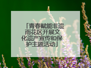 青春赋能非遗 雨花区开展文化遗产宣传和保护主题活动