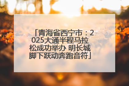 青海省西宁市：2025大通半程马拉松成功举办 明长城脚下跃动奔跑音符