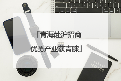 青海赴沪招商 优势产业获青睐