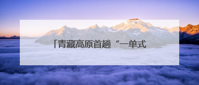 青藏高原首趟“一单式”铁水联运专列发车
