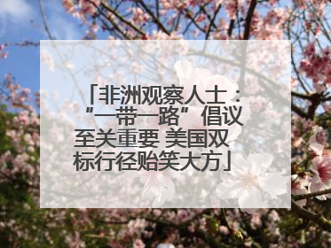 非洲观察人士：“一带一路”倡议至关重要 美国双标行径贻笑大方