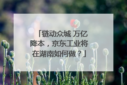 链动众城 万亿降本，京东工业将在湖南如何做？