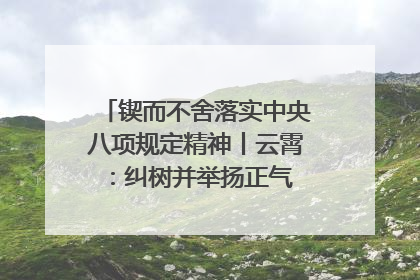 锲而不舍落实中央八项规定精神丨云霄：纠树并举扬正气 作风建设谱新章