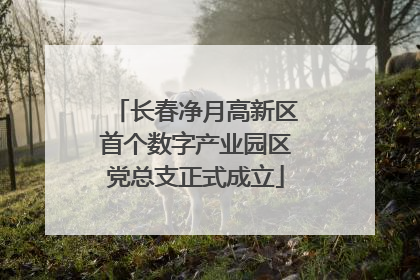长春净月高新区首个数字产业园区党总支正式成立