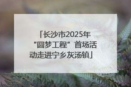 长沙市2025年“圆梦工程”首场活动走进宁乡灰汤镇