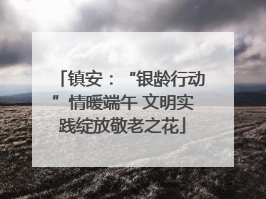 镇安：“银龄行动”情暖端午 文明实践绽放敬老之花