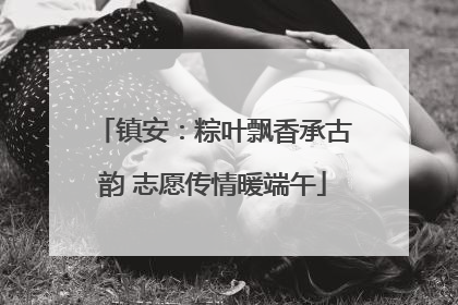 镇安：粽叶飘香承古韵 志愿传情暖端午