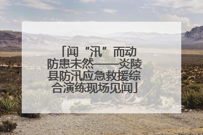 闻“汛”而动 防患未然——炎陵县防汛应急救援综合演练现场见闻