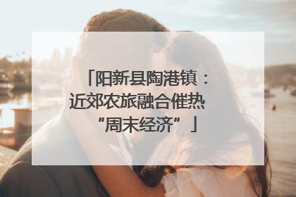 阳新县陶港镇：近郊农旅融合催热“周末经济”