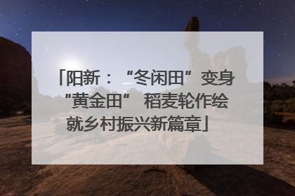 阳新：“冬闲田”变身“黄金田” 稻麦轮作绘就乡村振兴新篇章