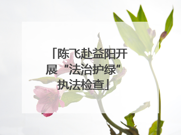 陈飞赴益阳开展“法治护绿”执法检查