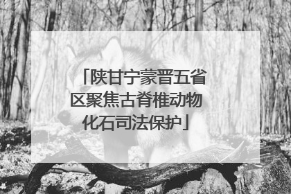 陕甘宁蒙晋五省区聚焦古脊椎动物化石司法保护
