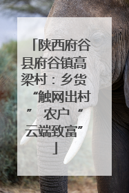陕西府谷县府谷镇高梁村：乡货“触网出村” 农户“云端致富”
