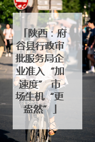 陕西：府谷县行政审批服务局企业准入“加速度” 市场生机“更盎然”