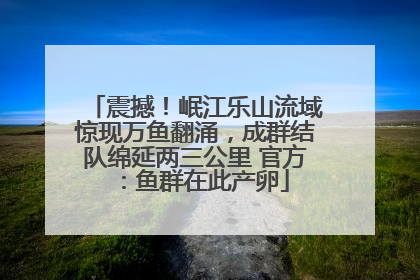 震撼！岷江乐山流域惊现万鱼翻涌，成群结队绵延两三公里 官方：鱼群在此产卵