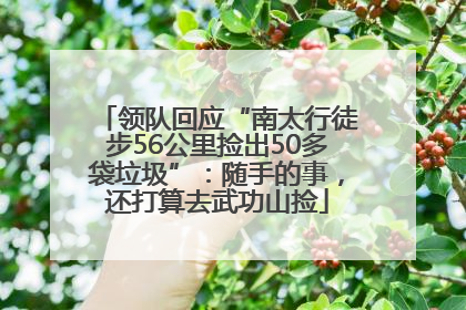 领队回应“南太行徒步56公里捡出50多袋垃圾”：随手的事，还打算去武功山捡
