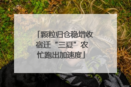 颗粒归仓稳增收 宿迁“三夏”农忙跑出加速度