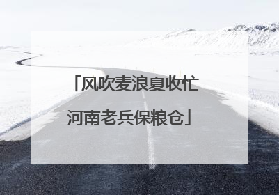 风吹麦浪夏收忙 河南老兵保粮仓
