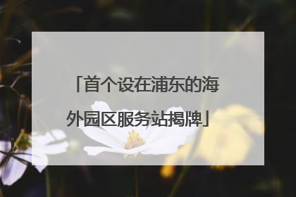 首个设在浦东的海外园区服务站揭牌
