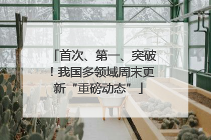 首次、第一、突破！我国多领域周末更新“重磅动态”