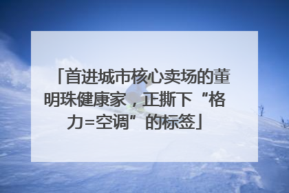 首进城市核心卖场的董明珠健康家，正撕下“格力=空调”的标签