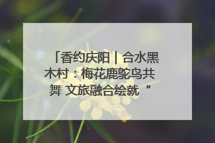 香约庆阳｜合水黑木村：梅花鹿鸵鸟共舞 文旅融合绘就“诗与远方”