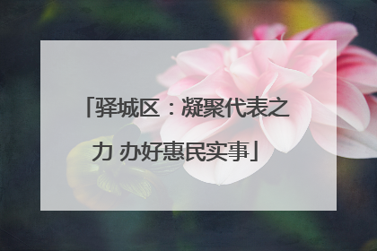 驿城区：凝聚代表之力 办好惠民实事