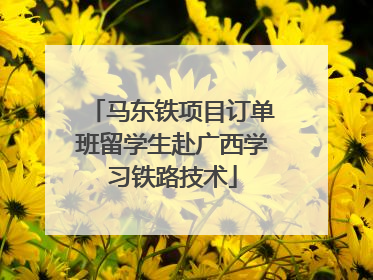 马东铁项目订单班留学生赴广西学习铁路技术