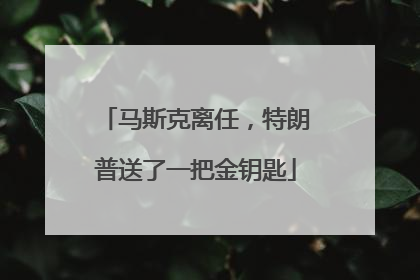 马斯克离任，特朗普送了一把金钥匙