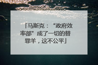马斯克：“政府效率部”成了一切的替罪羊，这不公平