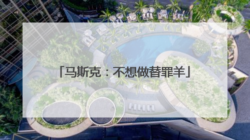 马斯克：不想做替罪羊