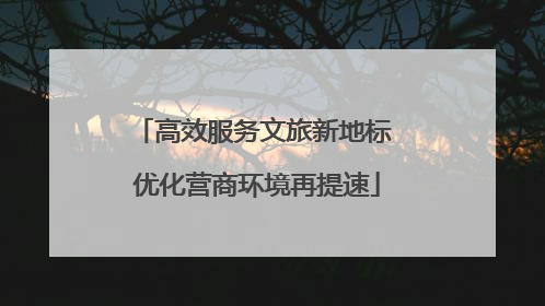 高效服务文旅新地标 优化营商环境再提速