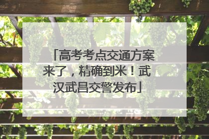 高考考点交通方案来了，精确到米！武汉武昌交警发布