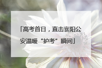 高考首日，直击襄阳公安温暖“护考”瞬间