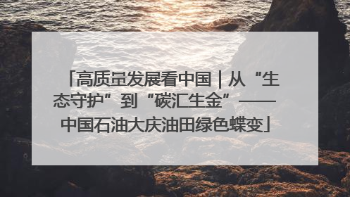 高质量发展看中国｜从“生态守护”到“碳汇生金”——中国石油大庆油田绿色蝶变