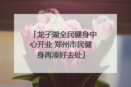 龙子湖全民健身中心开业 郑州市民健身再添好去处