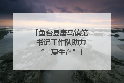 鱼台县唐马镇第一书记工作队助力“三夏生产”