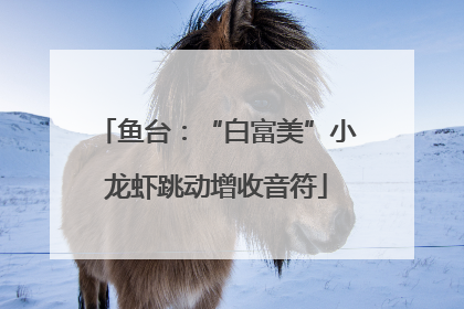 鱼台：“白富美”小龙虾跳动增收音符