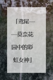 鸢尾——莫奈花园中的彩虹女神