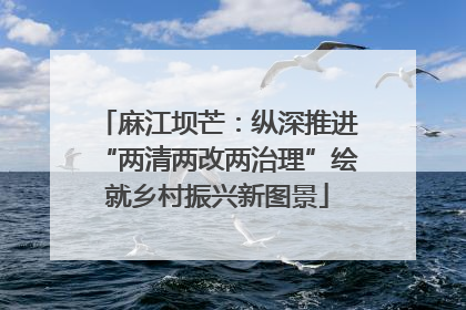 麻江坝芒：纵深推进“两清两改两治理”绘就乡村振兴新图景