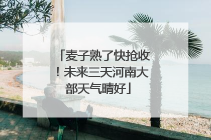 麦子熟了快抢收！未来三天河南大部天气晴好