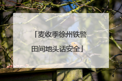 麦收季徐州铁警田间地头话安全