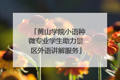 黄山学院小语种微专业学生助力景区外语讲解服务