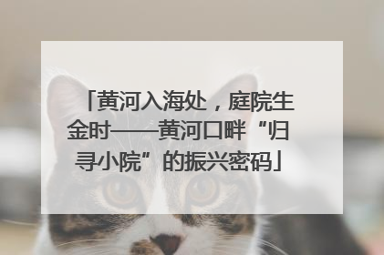 黄河入海处，庭院生金时——黄河口畔“归寻小院”的振兴密码