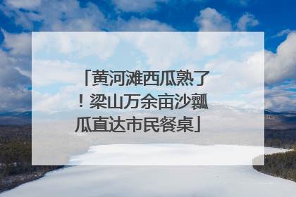 黄河滩西瓜熟了！梁山万余亩沙瓤瓜直达市民餐桌